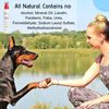 Pet Caress LLC Gentle Foaming Cleanser All Skin Types 200ml