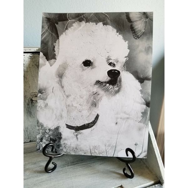 White Poodle Dog Portrait Art Print 8x10 Pet Portrait