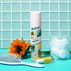 Batiste Original Dry Shampoo, Waterless Shampoo, 3.81oz 3 pack