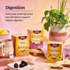 Yogi Organic Peppermint Tea 16 Count Digestive Support Herbal Tea Bags