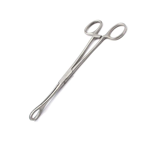OdontoMed2011® Sponge Holding Forceps 8" Straight Serrated Body Piercing Forceps Clamp Self-Locking