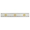 'Treasure Map' 30cm (12 Inch) White Plastic Ruler (RL00090998)