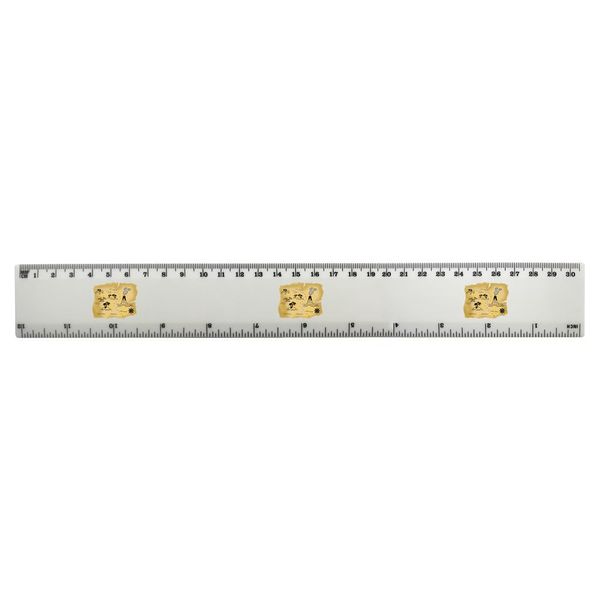 'Treasure Map' 30cm (12 Inch) White Plastic Ruler (RL00090998)