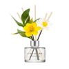 Cocodor Daffodil Diffuser 200 ml (6.7 oz) Vanilla & Sandalwood