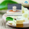Yankee Candle Shea Butter Votive/Sampler