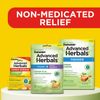 Advanced Herbals Motion Sickness Non Drowsy Ginger Capsules 36 Count Travel Pack