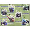 Gundam Seed Destiny Head Figure