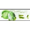 lovelyGlance 99% Deep Hydration Aloe Vera Gel