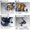 Daiwa LT2500 20 Crest Spinning Reel, 2020 Model
