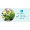 Mama Butter Pocket Hand Soap, Mint & Chamomile