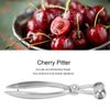 Olive Pitter Small and Lightweight Cherry Pitter Tool for Nuclear Removal