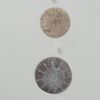 Boltze Capiz Nyla Garland 1 Piece 2 Assorted Designs