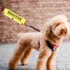 Reactive Dog Leash Sleeve - Service Dog Leash Wrap
