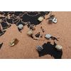 Shell Map Pins - Silver Finish