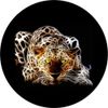 Electric Cat Tire Cover