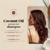 Oliology Nutrient Rich Coconut Oil Shampoo & Conditioner Combo Pack - 
