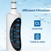 RWF0500A Refrigerator Water Filter Replacement for Filter 5, 4392857, 5PACK
