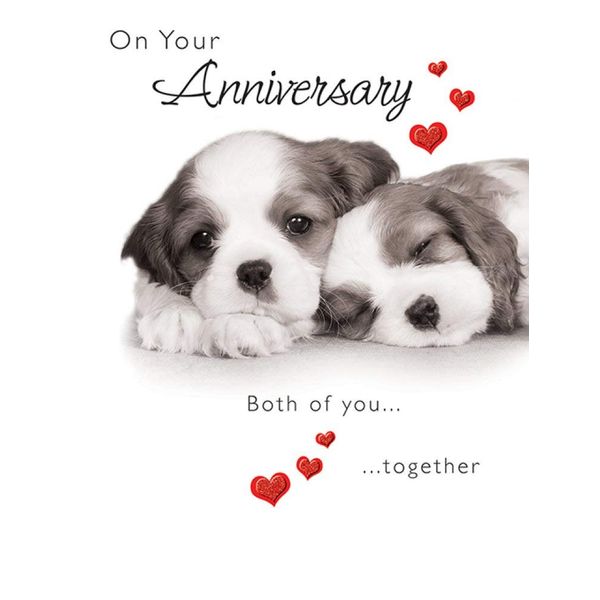 Piccadilly Greetings Cute Anniversary Card Your Anniversary - 8 x 6 inches,white brown red