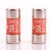 White Hinge 2X Replacement 30 Amp Through-Hole Mount Fuse, 240V, Ceramic, Copper