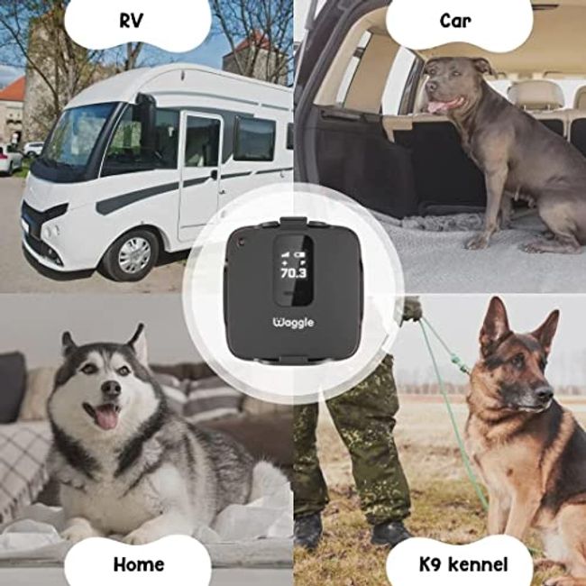 Waggle RV/Dog Safety Temperature & Humidity Sensor | Wireless Pet Monitoring System Verizon Cellular Instant Alerts on Temp/Humidity/Power Loss Via