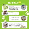 Dr. By Skin Probe Biotics Dog Supplement