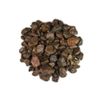 Hypnotic Gems Materials: 1 lb Rough Bulk Sapphire and Ruby Mine Run Stones from India - Raw Natural Crystals for Cabbing, Tumbling, Lapidary, Polishing, Wire Wrapping, Wicca & Reiki Crystal Healing