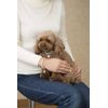 Static Cling Pet Necklace Paw Charm Pink M