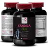 CANDIDA CLEANSE - Wormwood Extract - Candida Gut & Colon Support  -  1 Bot
