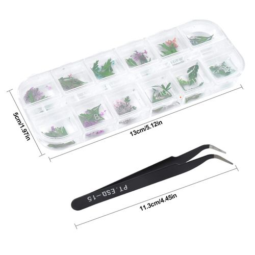 Dokeno 2 Scatole Nail Art Fiori Secchi 24 Colori Applique per Unghie Nail Art Adesivi 3D Fiori Secchi Naturali Veri Set di Foglie Verdi per Decorazione Fai Da Te Nail Art con Pinzette Curve