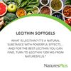 Natures Plus Lecithin 1200 MG Softgels 90