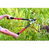 Corona FL 3470 Compound Action Bypass Lopper with Extendable Handles, 1-1/2" Cut, 21" to 33" Length