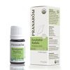Single Note New Item Variation 5ml (Eucalyptus Radiata)