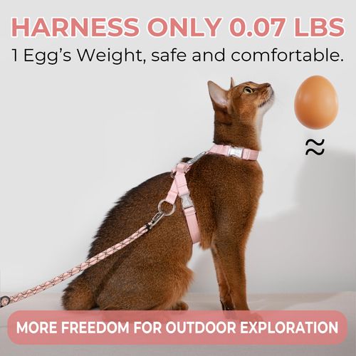 Sovarin Cat Harness and Leash Set - Pink Lightweight Soft Kitten Harness Escape Proof, Adjustable Travel Pet Harness for Walking，Easy Control Comfortable Outdoor (Pink, One Size Fits All)
