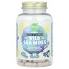 Extra Strength Wild Sea Moss, 60 Capsules