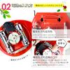 Desktop Cleaner, Ladybug (Green) (T)