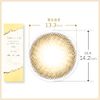 Color Contacts TOPARDS Topaz Rino Sashihara Sassy One Day 10pcs Honey Amber (No degree) [0.00]
