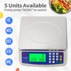 Large Digital Kitchen Scale 30KG Commercial Food Scale 66LB for Baking Bread ...
