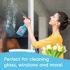 Windex Original 1 Pack (680ml)