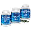 3 Stem Cell GLUTEN FREE STEM  Madre Cell Plus celulas madres