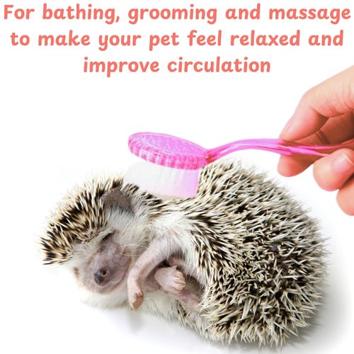 Hedgehog Toe Nail Clippers and Comb Set, 2 Pcs Hedgehog Soft Cleansing Brush and Toenail Clipper with Magnifier, Hedgehogs Massage Combs and Small Nail Clippers, Small Pet Grooming Supplies (Pink)
