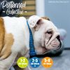Ancol Patterned Collection Paw Lead Blue 1mx19mm