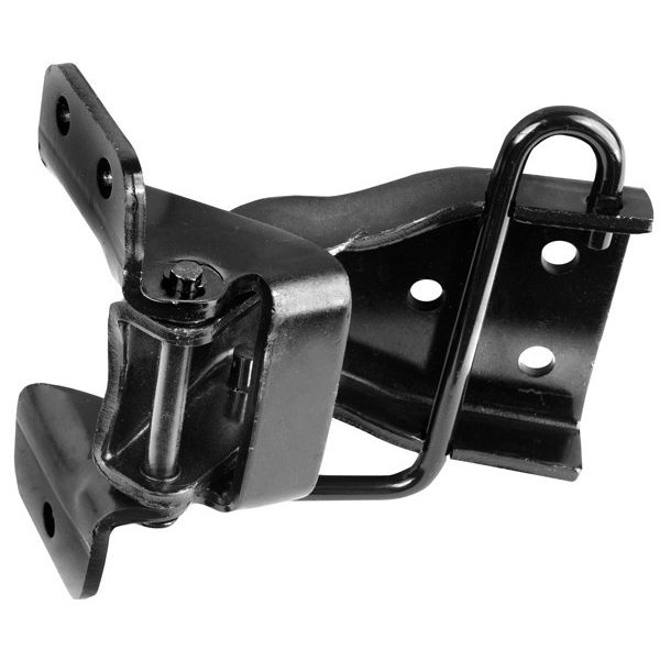 Mustang Hinge Door Lower LH1969 - 1970