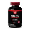 pre workout creatine Monohydrate - Creatine Tri-Phase - natural  energy boost 1B