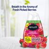 Renuzit Adjustable 7oz Air Freshener Gel | Forever Raspberry | 6 Count