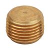 Thrifco 9318118 1/2 Inch Brass Counter Sink Plug