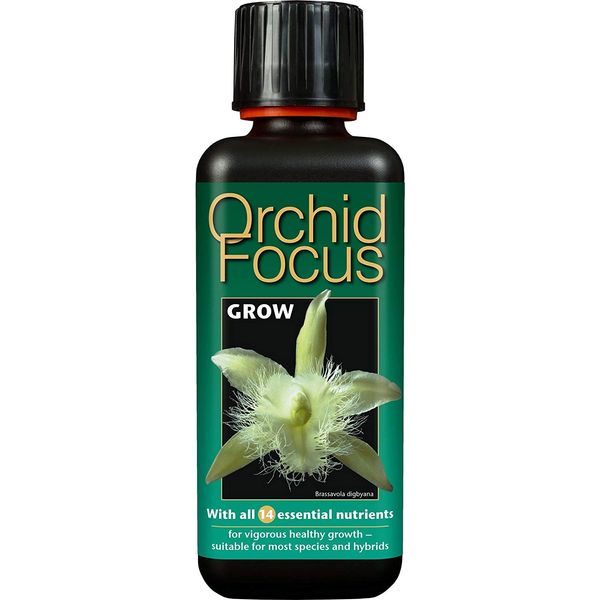 3 X Orchid Focus Grow 300ml