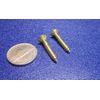 Brass #8  Phillips Flat Head Wood Screw x 1.00" Length, 100 Pcs
