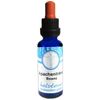 Apachenträne Edelstein ESSENZ 30ml alkoholfrei mit Anleitung + Täschchen