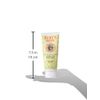 Burt's Bees After Sun Lotion with Hydrating Aloe Vera & Coconut Oil - Summer Essentials, Sunburn Relief, Natural After Sun Soother, 6 oz