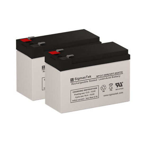 Razor E325 Electric Scooter Battery Set Replacement
